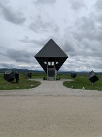 IMG 8201.JPG